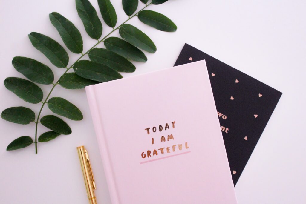 Two journals and a pen.