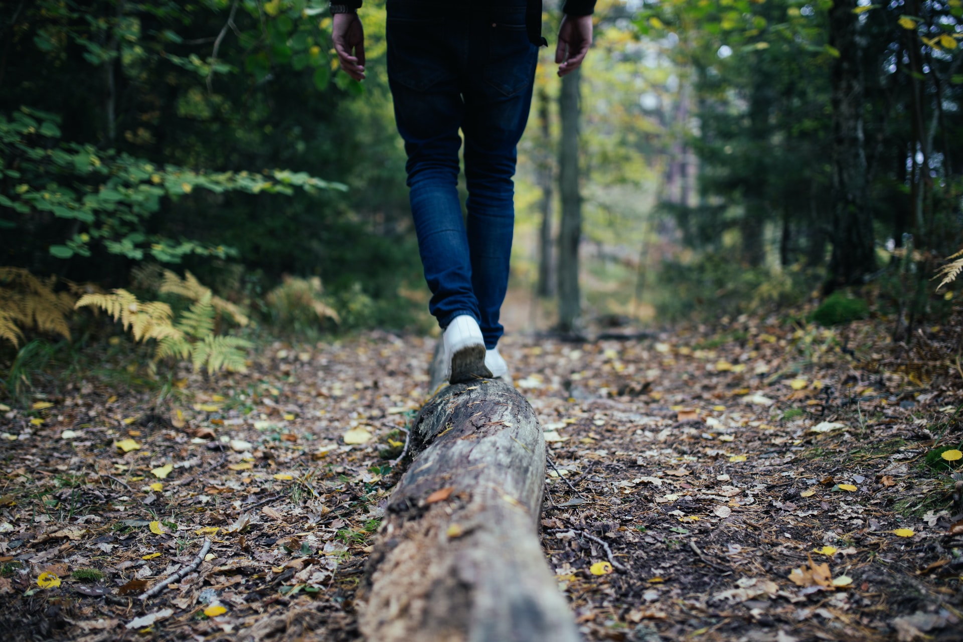 Person walking on log in the forest.