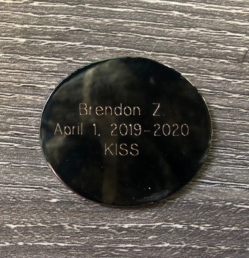 Brandan's 1 year Medallion
