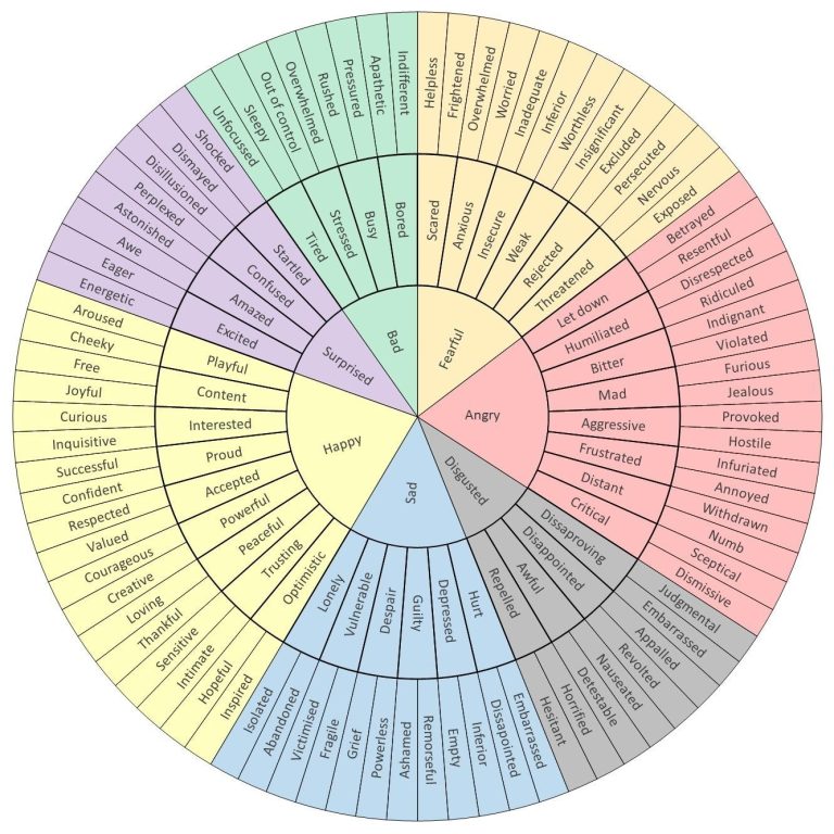 Regulate Your Emotions: Renascent's Guide for Recovery
