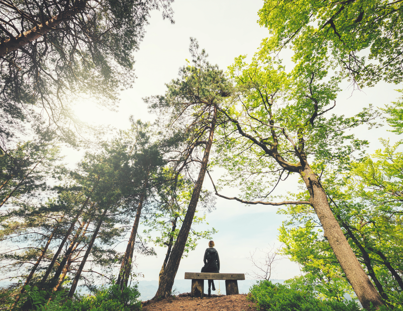 Person sitting in a forest, looking out onto lake.