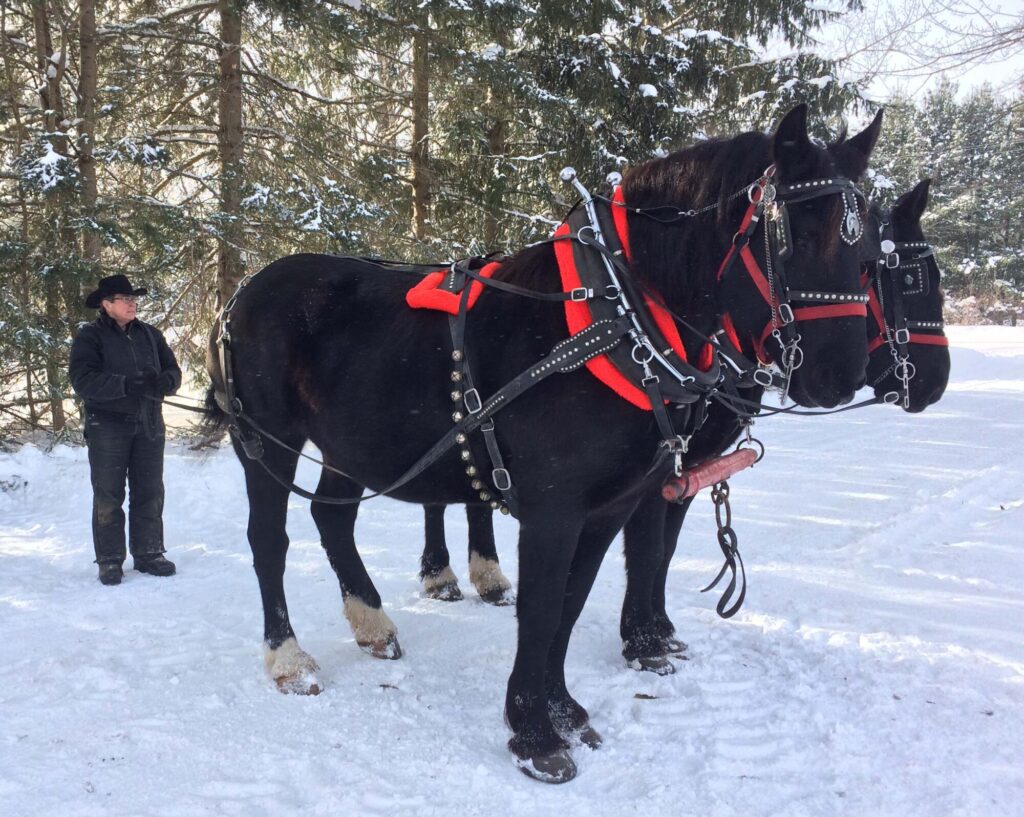 Sue, Renascent Alumni